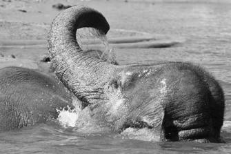 ZOO-13.jpg